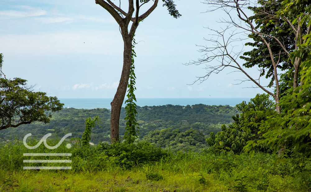 Finca-Rio-Mar-Wanderlust-Realty-Real-Estate-Rentals-Nosara-Costa-Rica-2.jpg