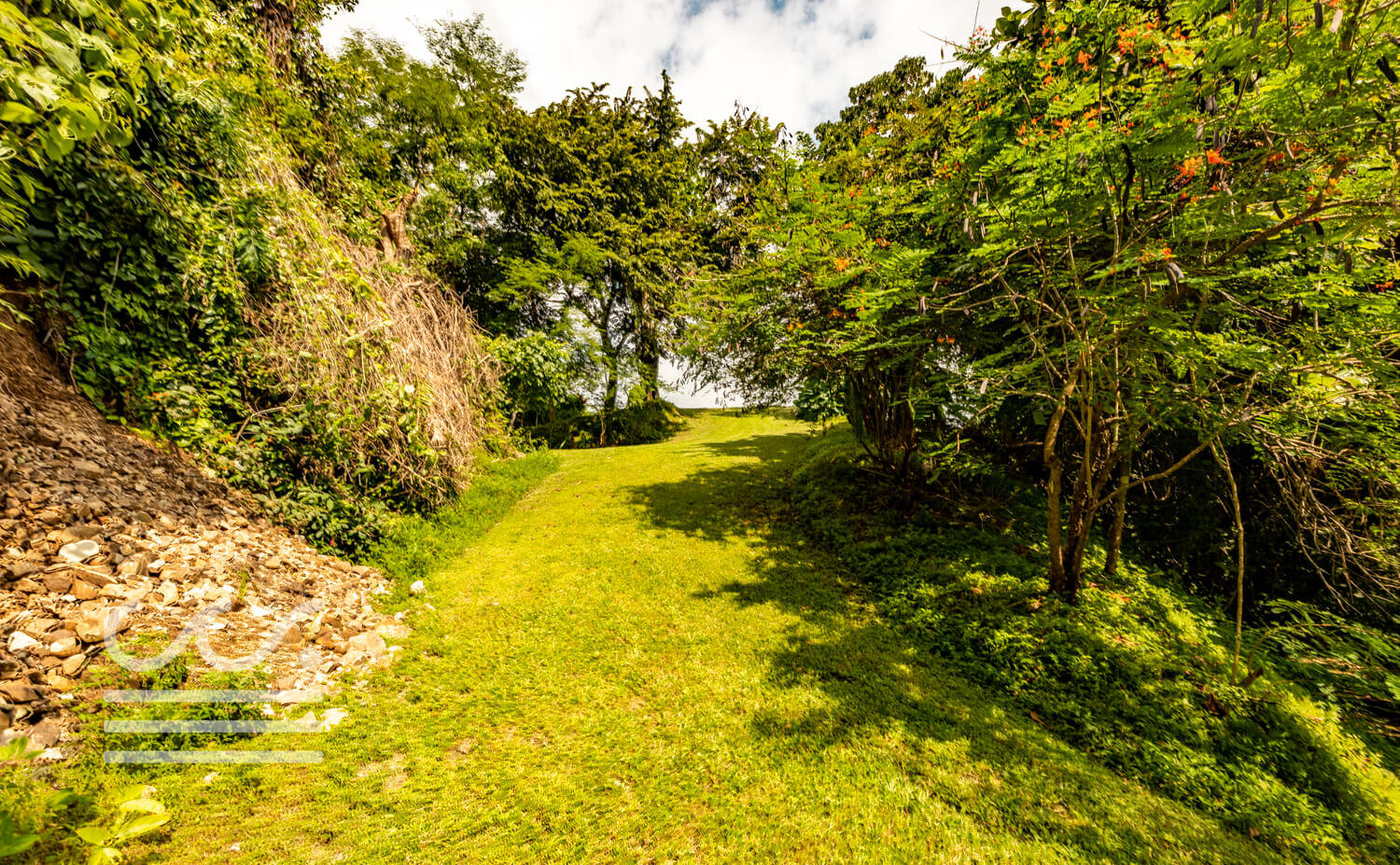 Sibu-Lot-6-Wanderlust-Realty-Real-Estate-Rentals-Nosara-Costa-Rica-7.jpg