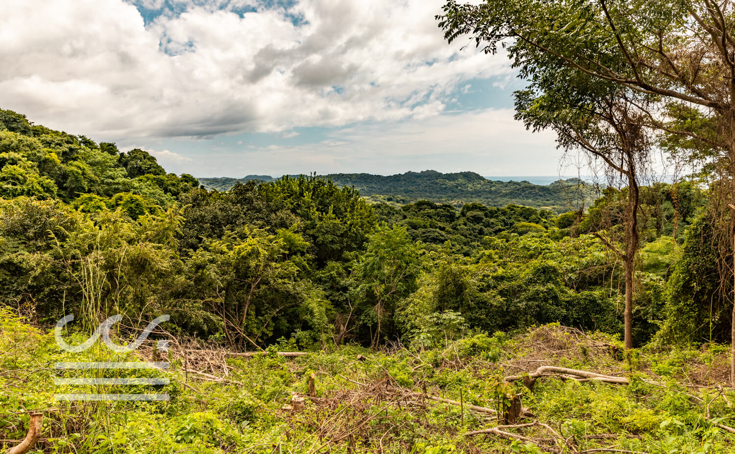 Vista Royal-5-Wanderlust-Realty-Real-Estate-Rentals-Nosara-Costa-Rica-14.jpg