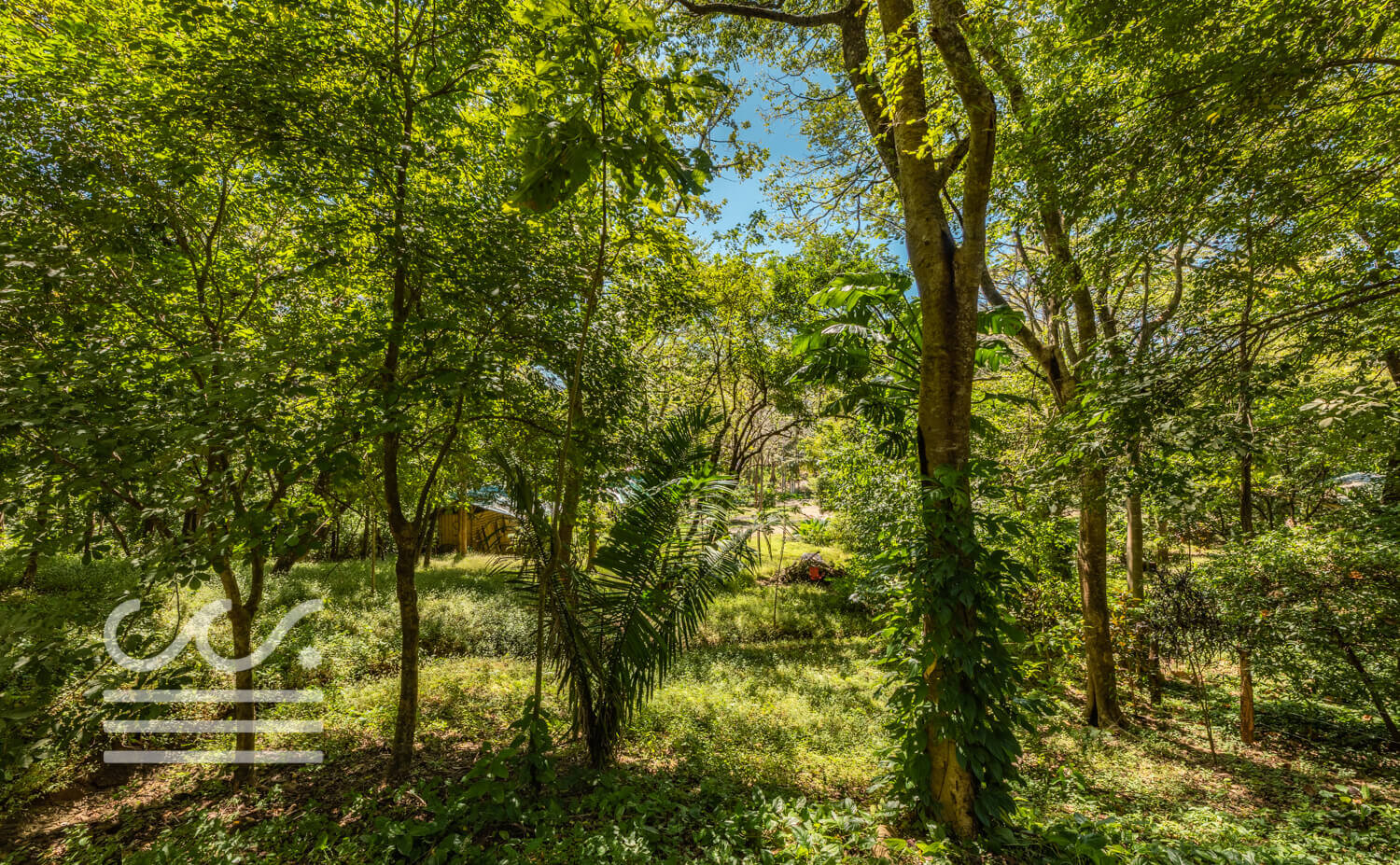 A-40-Lot-Wanderlust-Realty-Real-Estate-Rentals-Nosara-Costa-Rica-6.jpg