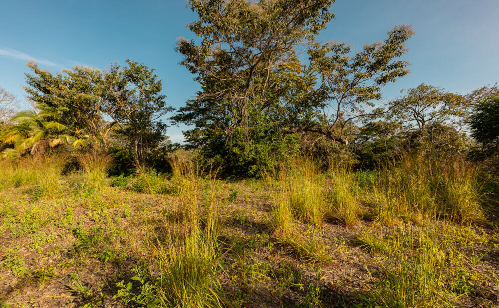 Finca-Barco-Quebrado-Wanderlust-Realty-Real-Estate-Rentals-Nosara-Costa-Rica-11.jpg