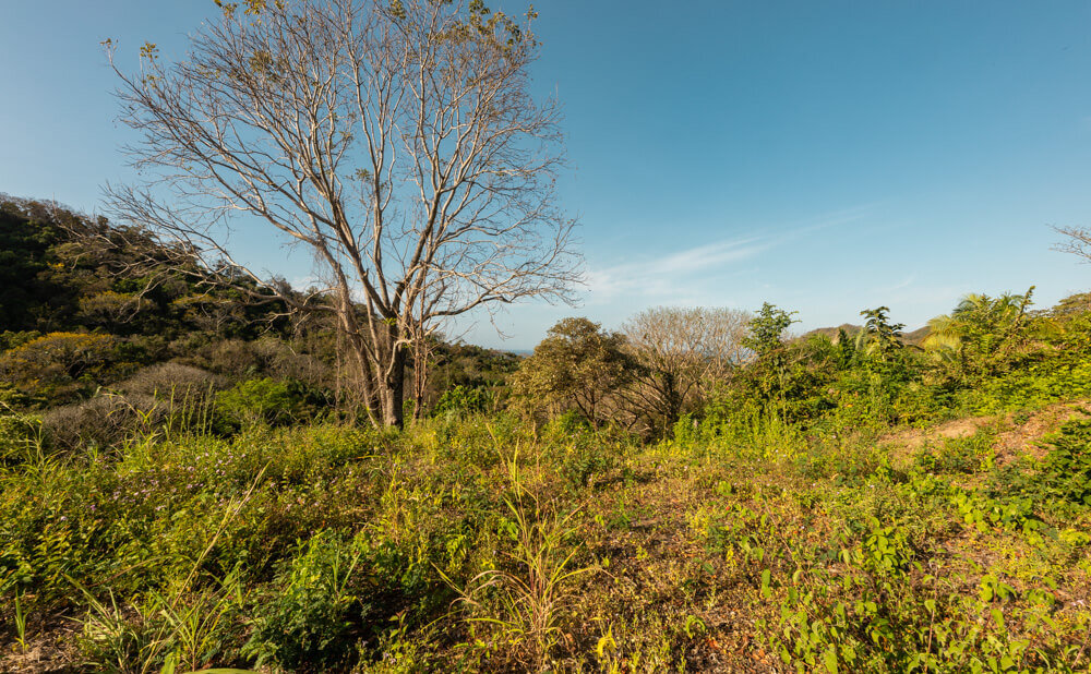 Finca-Barco-Quebrado-Wanderlust-Realty-Real-Estate-Rentals-Nosara-Costa-Rica-16.jpg