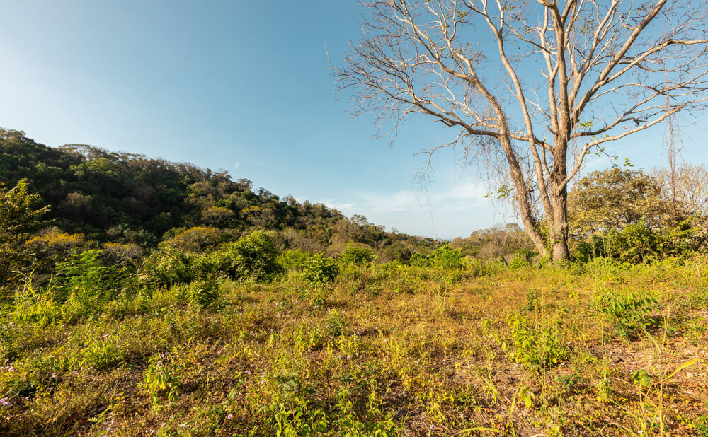 Finca-Barco-Quebrado-Wanderlust-Realty-Real-Estate-Rentals-Nosara-Costa-Rica-18.jpg