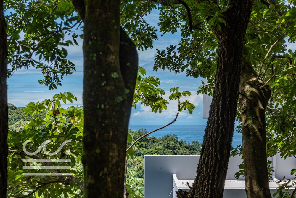 D-22-Sothebys-Wanderlust-Realty-Real-Estate-Rentals-Nosara-Costa-Rica-2.jpg