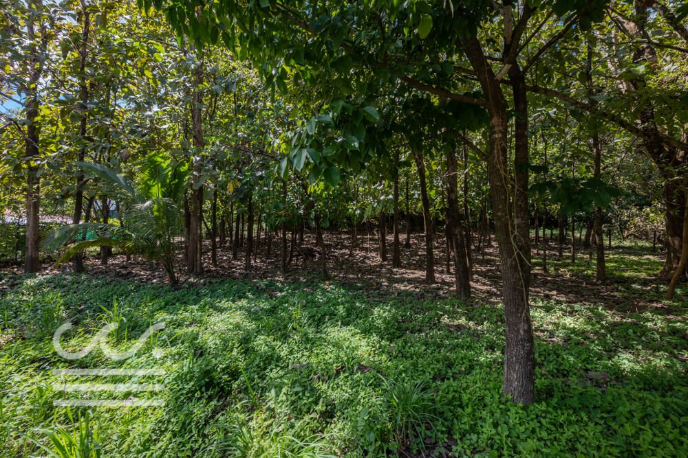 Esperanza Commercial-Lot-Sothebys-Wanderlust-Realty-Real-Estate-Rentals-Nosara-Costa-Rica-3.jpg