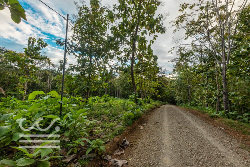 Finca-San Juanillo-Sothebys-Wanderlust-Realty-Real-Estate-Rentals-Nosara-Costa-Rica-27.jpg