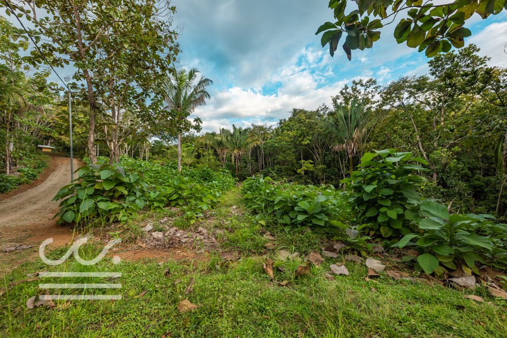 Finca-San Juanillo-Sothebys-Wanderlust-Realty-Real-Estate-Rentals-Nosara-Costa-Rica-26.jpg