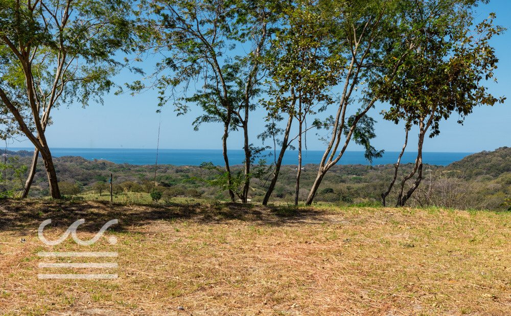 Esperanza-Ocean-View-Lot-2-Wanderlust-Realty-Real-Estate-Rentals-Nosara-Costa-Rica-4.jpg