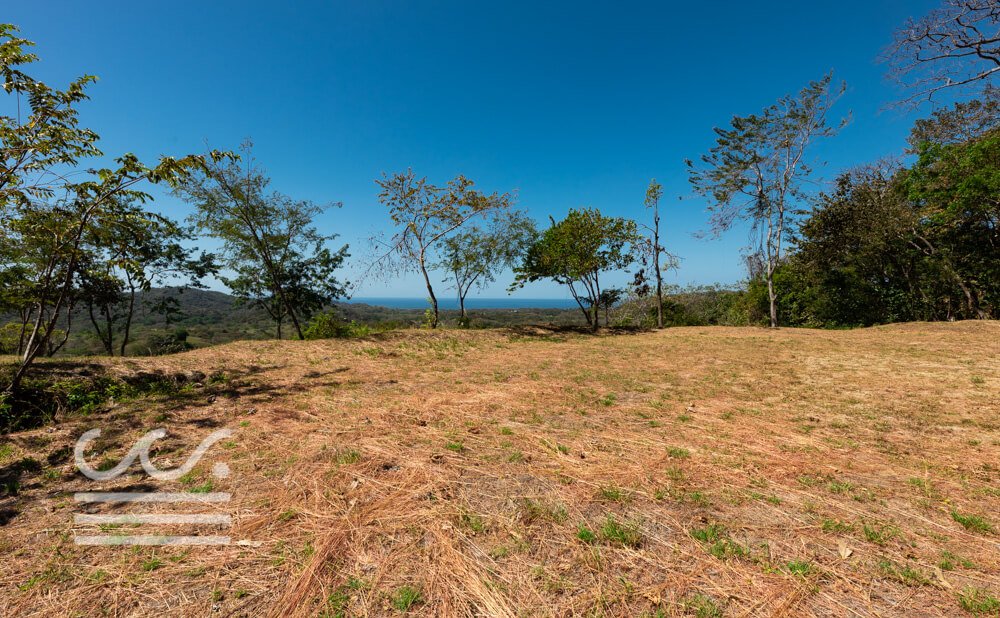 Esperanza-Ocean-View-Lot-3-Wanderlust-Realty-Real-Estate-Rentals-Nosara-Costa-Rica-6.jpg