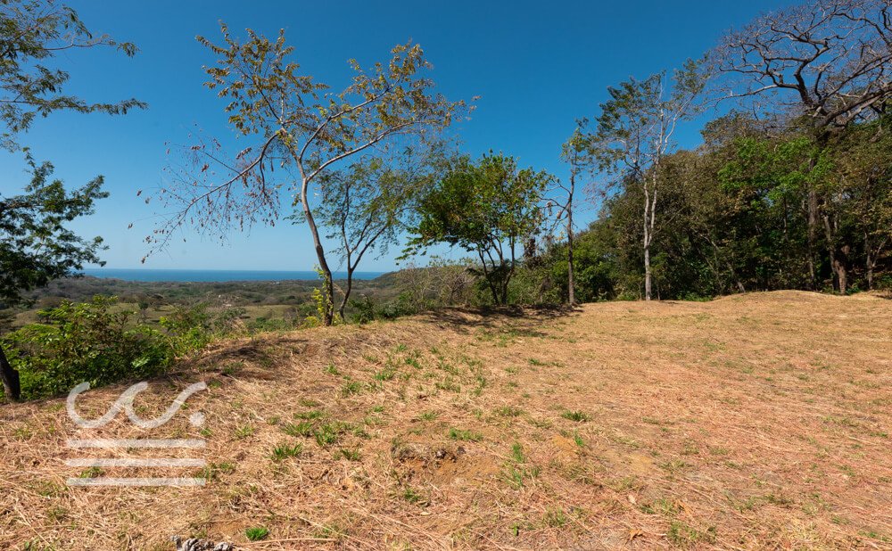 Esperanza-Ocean-View-Lot-3-Wanderlust-Realty-Real-Estate-Rentals-Nosara-Costa-Rica-8.jpg