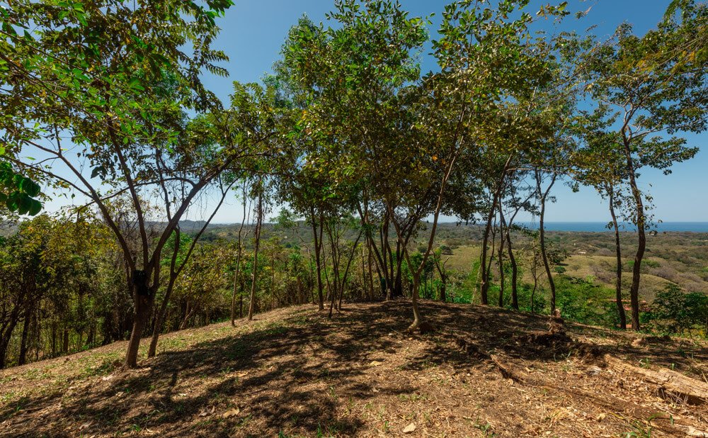 Esperanza-Ocean-View-Lot-4-Wanderlust-Realty-Real-Estate-Rentals-Nosara-Costa-Rica-8.jpg