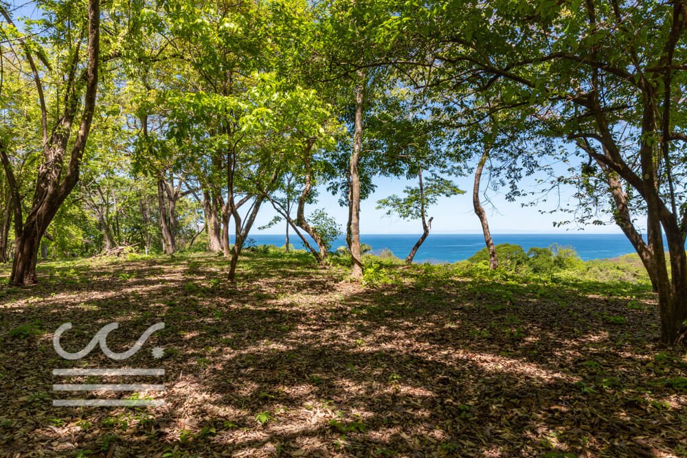 Beach Front- Finca-Sothebys-Wanderlust-Realty-Real-Estate-Rentals-Nosara-Costa-Rica-12.jpg