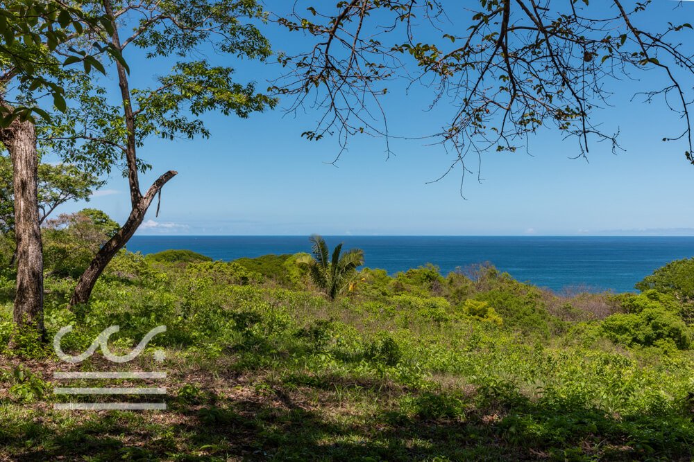 Beach Front- Finca-Sothebys-Wanderlust-Realty-Real-Estate-Rentals-Nosara-Costa-Rica-17.jpg