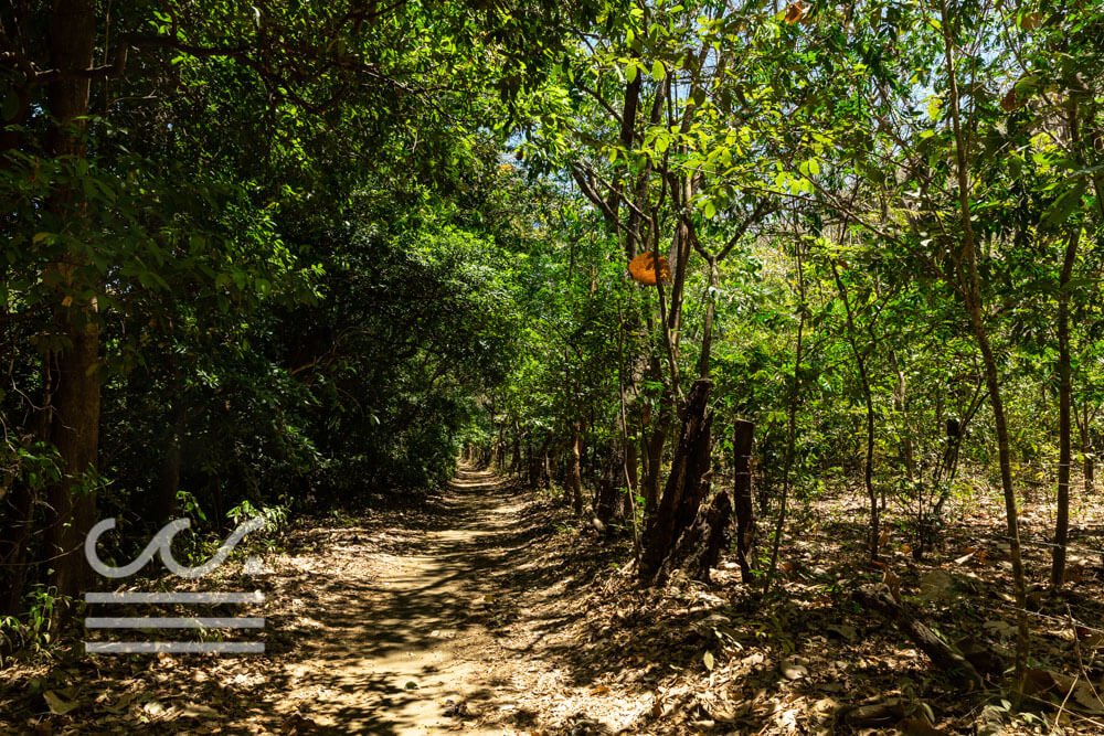 Finca-Rio Nosara-Sothebys-Wanderlust-Realty-Real-Estate-Rentals-Nosara-Costa-Rica-18.jpg