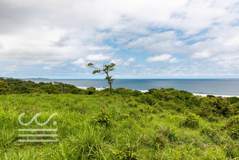 Finca-Tortuga- Ostional-Sothebys-Wanderlust-Realty-Real-Estate-Rentals-Nosara-Costa-Rica-21.jpg