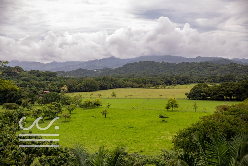 Casa-Coralina-Sothebys-International-Realty-Wanderlust-Group-Real-Estate-Rentals-Nosara-Costa-Rica-7.jpg