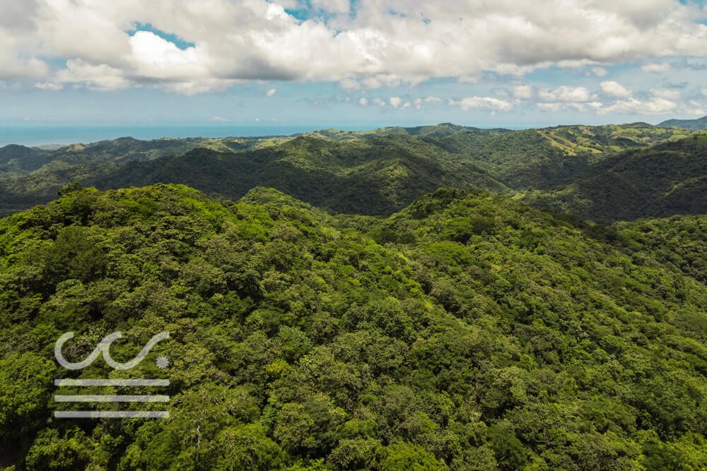 Finca-Las-Flores-Sothebys-Wanderlust-Realty-Real-Estate-Rentals-Nosara-Costa-Rica-5.jpg