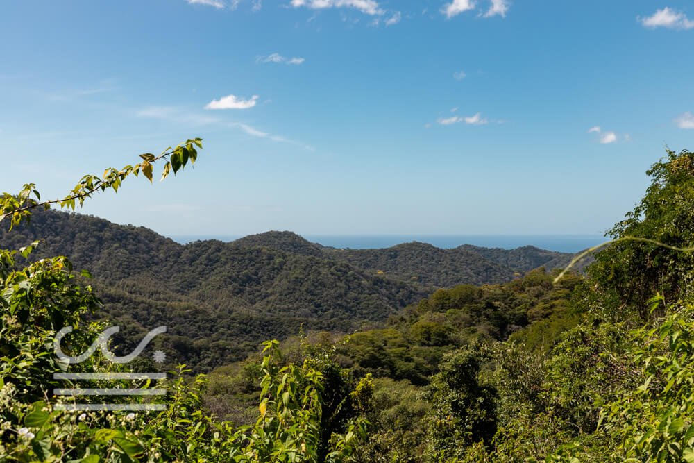 Finca-Las-Flores-Sothebys-Wanderlust-Realty-Real-Estate-Rentals-Nosara-Costa-Rica-23.jpg