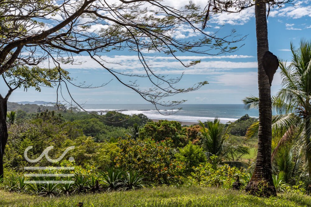 Ostional-Tropical-View-Sothebys-Wanderlust-Realty-Real-Estate-Rentals-Nosara-Costa-Rica-2.jpg