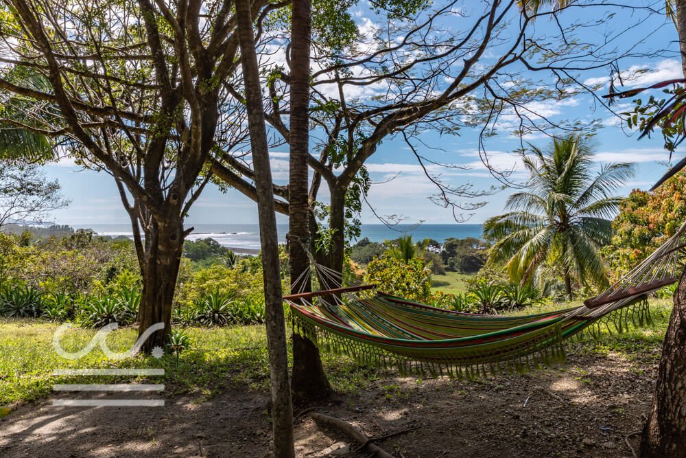 Ostional-Tropical-View-Sothebys-Wanderlust-Realty-Real-Estate-Rentals-Nosara-Costa-Rica-3.jpg