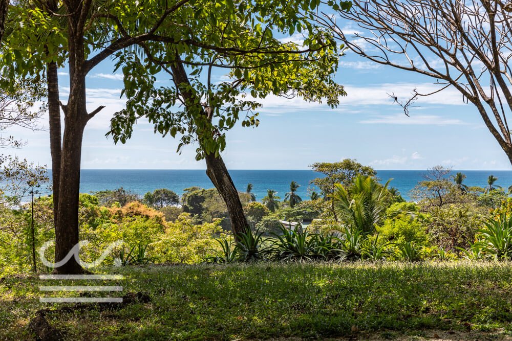 Ostional-Tropical-View-Sothebys-Wanderlust-Realty-Real-Estate-Rentals-Nosara-Costa-Rica-4.jpg