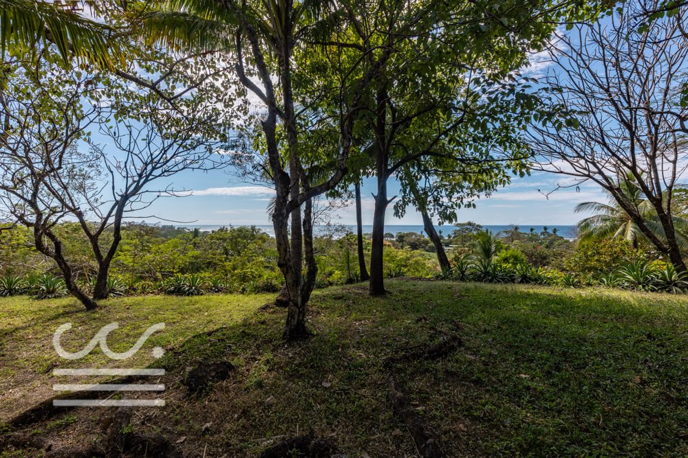 Ostional-Tropical-View-Sothebys-Wanderlust-Realty-Real-Estate-Rentals-Nosara-Costa-Rica-17.jpg
