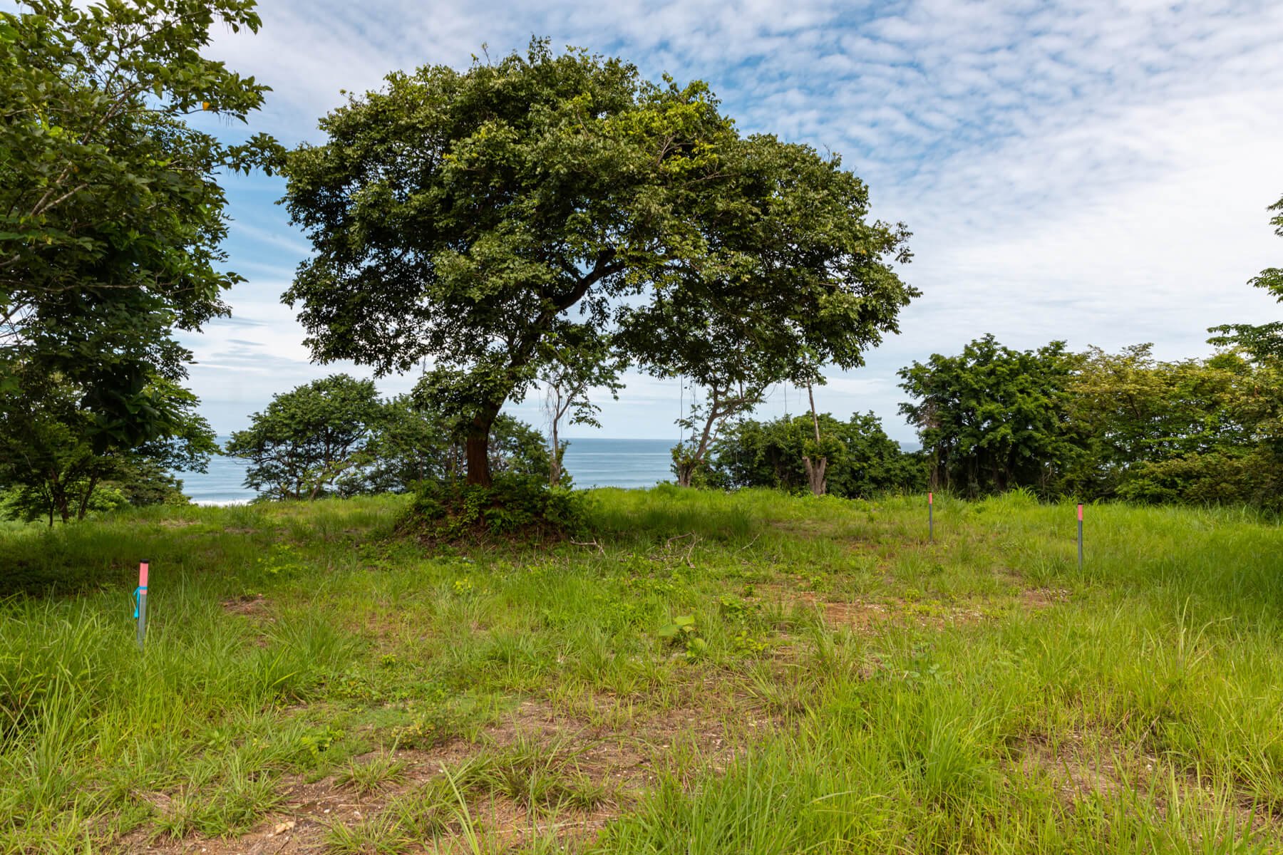 Prime-Ocean View-Sothebys-Wanderlust-Realty-Real-Estate-Rentals-Nosara-Costa-Rica-8.jpg