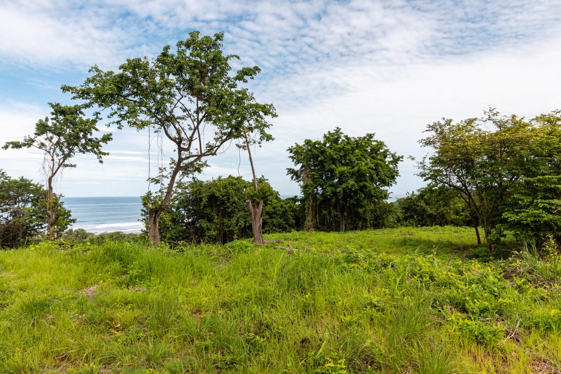 Prime-Ocean View-Sothebys-Wanderlust-Realty-Real-Estate-Rentals-Nosara-Costa-Rica-9.jpg