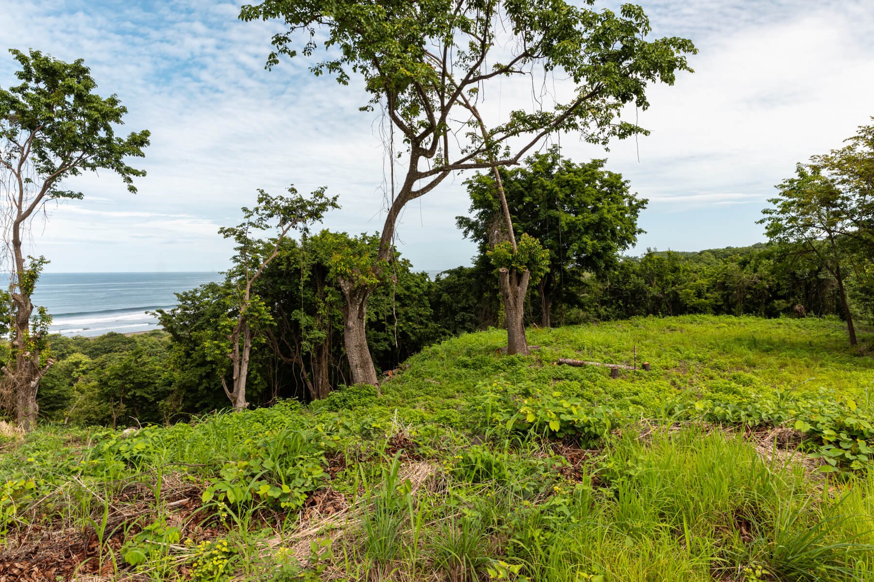 Prime-Ocean View-Sothebys-Wanderlust-Realty-Real-Estate-Rentals-Nosara-Costa-Rica-10.jpg