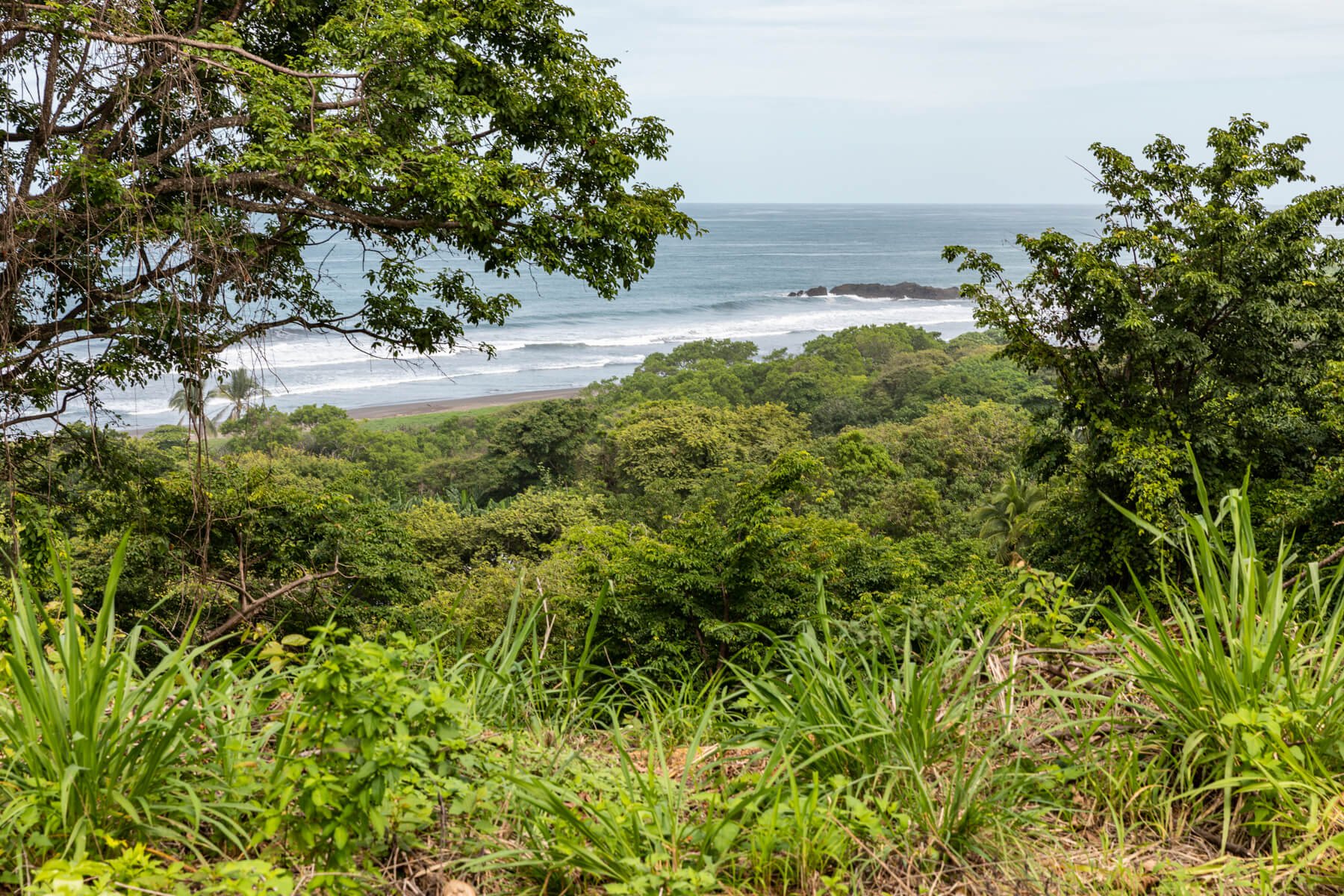 Prime-Ocean View-Sothebys-Wanderlust-Realty-Real-Estate-Rentals-Nosara-Costa-Rica-14.jpg