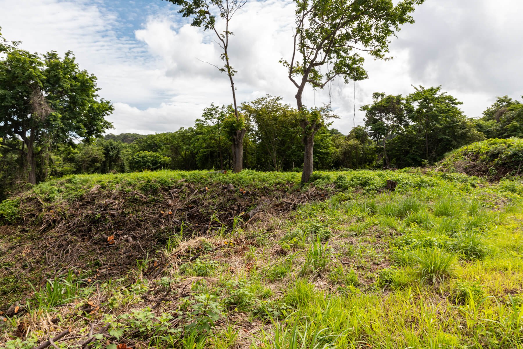 Prime-Ocean View-Sothebys-Wanderlust-Realty-Real-Estate-Rentals-Nosara-Costa-Rica-15.jpg