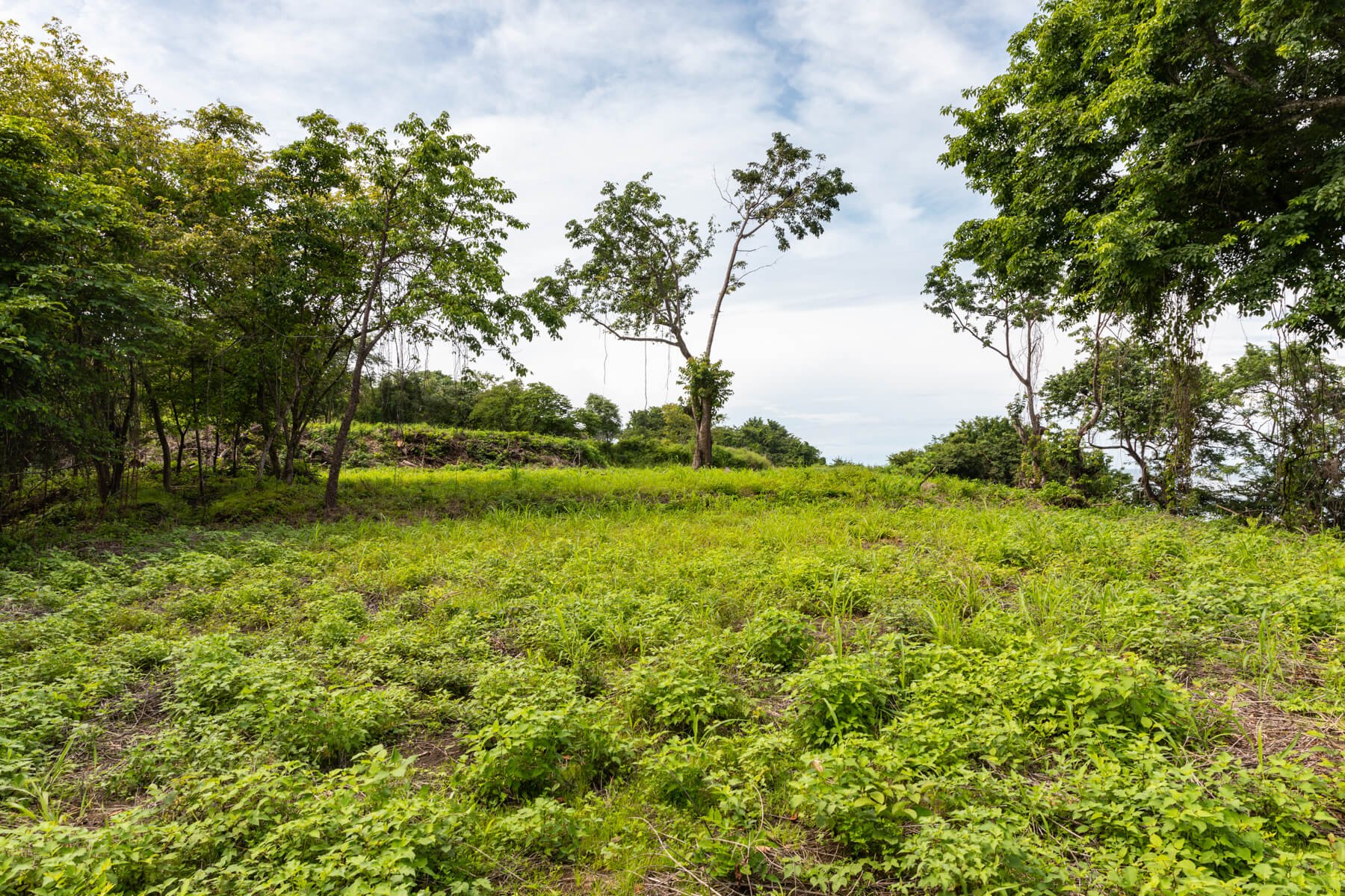 Prime-Ocean View-Sothebys-Wanderlust-Realty-Real-Estate-Rentals-Nosara-Costa-Rica-17.jpg