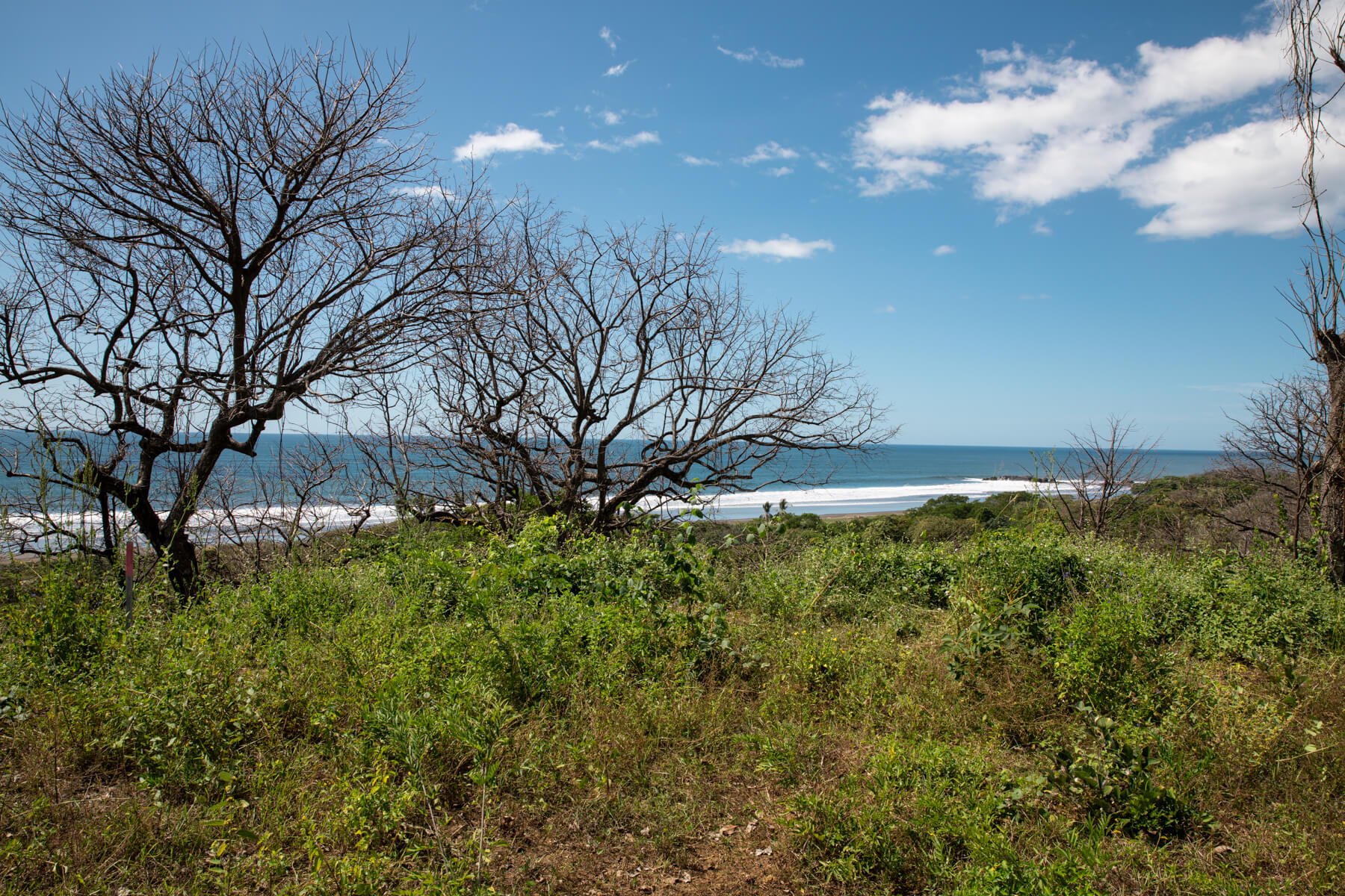 Prime-Ocean View-Sothebys-Wanderlust-Realty-Real-Estate-Rentals-Nosara-Costa-Rica-22.jpg