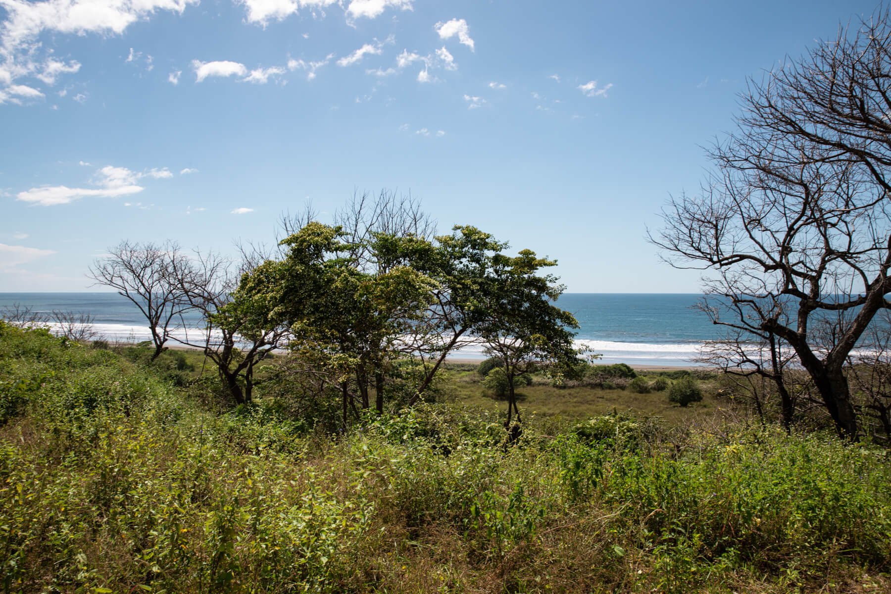 Prime-Ocean View-Sothebys-Wanderlust-Realty-Real-Estate-Rentals-Nosara-Costa-Rica-25.jpg
