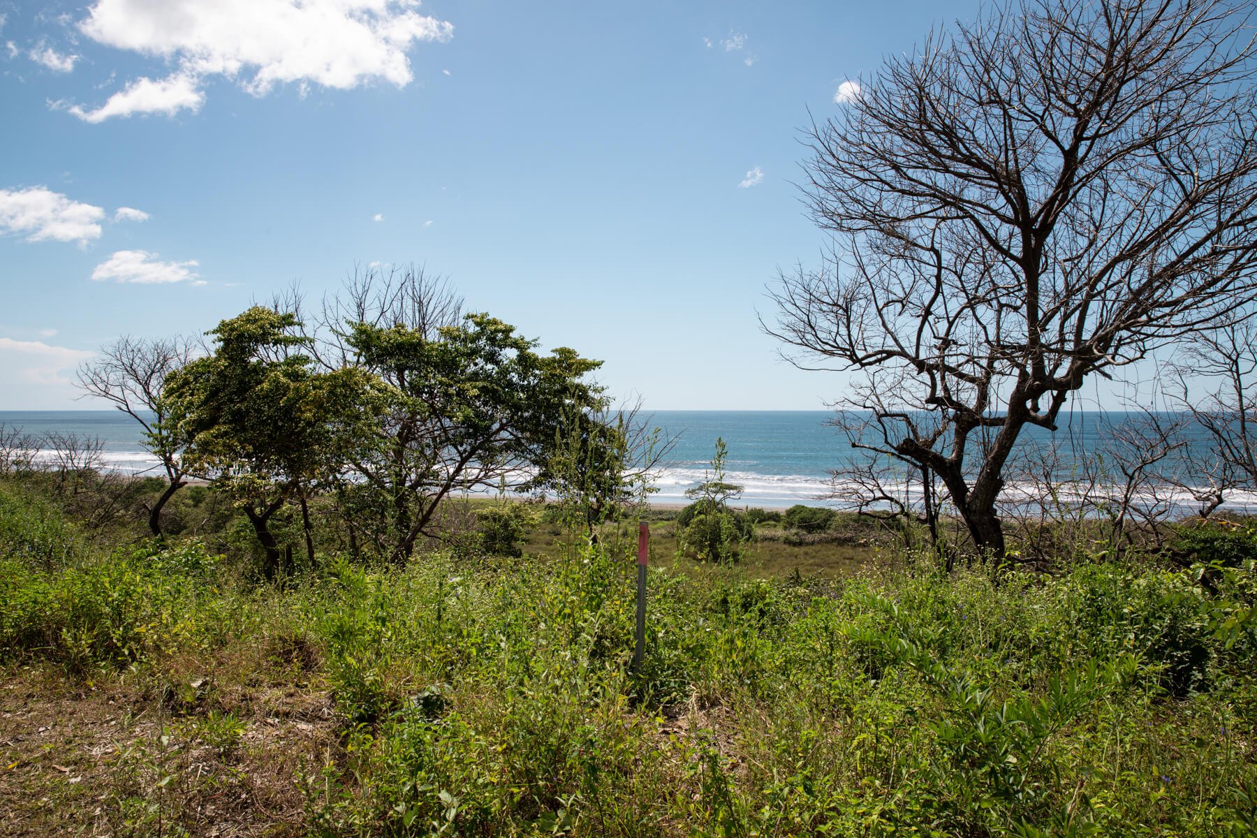 Prime-Ocean View-Sothebys-Wanderlust-Realty-Real-Estate-Rentals-Nosara-Costa-Rica-24.jpg