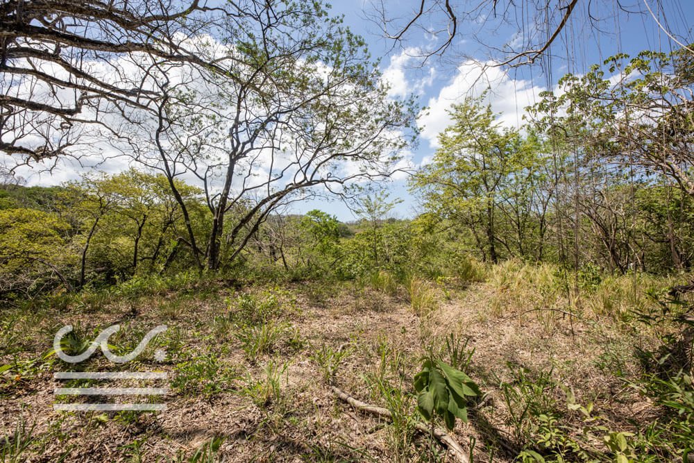 Large Elevated Lot Playa Pelada-Sothebys-Wanderlust-Realty-Real-Estate-Rentals-Nosara-Costa-Rica-8.jpg