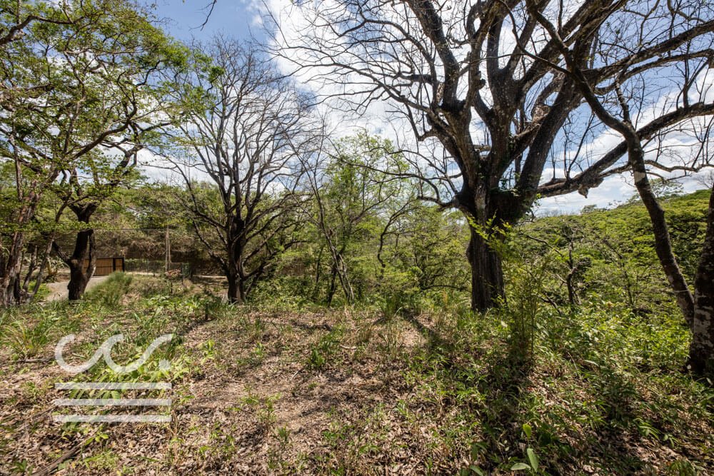 Large Elevated Lot Playa Pelada-Sothebys-Wanderlust-Realty-Real-Estate-Rentals-Nosara-Costa-Rica-9.jpg