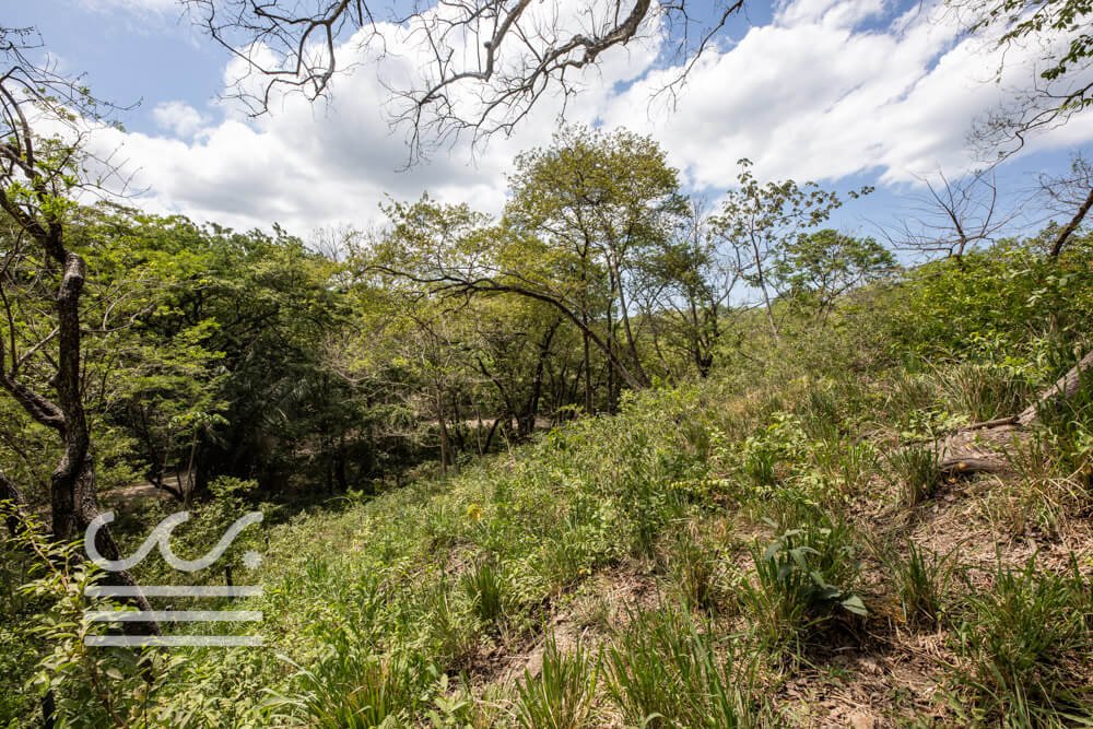 Large Elevated Lot Playa Pelada-Sothebys-Wanderlust-Realty-Real-Estate-Rentals-Nosara-Costa-Rica-13.jpg