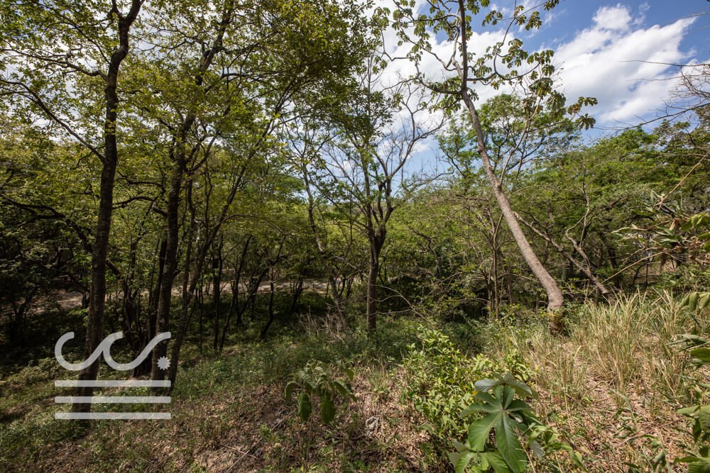 Large Elevated Lot Playa Pelada-Sothebys-Wanderlust-Realty-Real-Estate-Rentals-Nosara-Costa-Rica-15.jpg