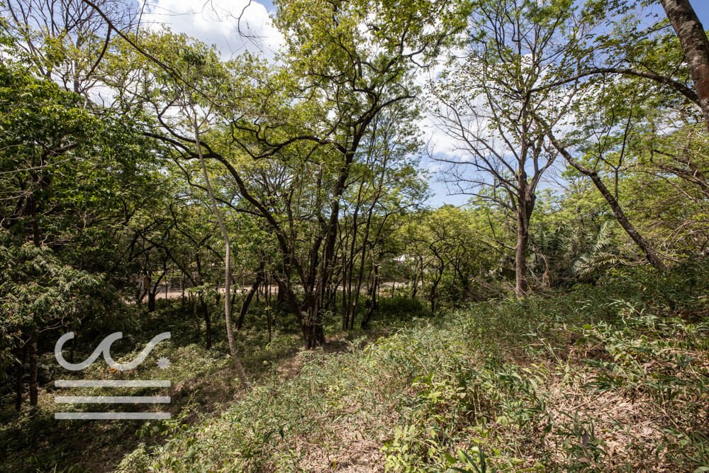 Large Elevated Lot Playa Pelada-Sothebys-Wanderlust-Realty-Real-Estate-Rentals-Nosara-Costa-Rica-17.jpg