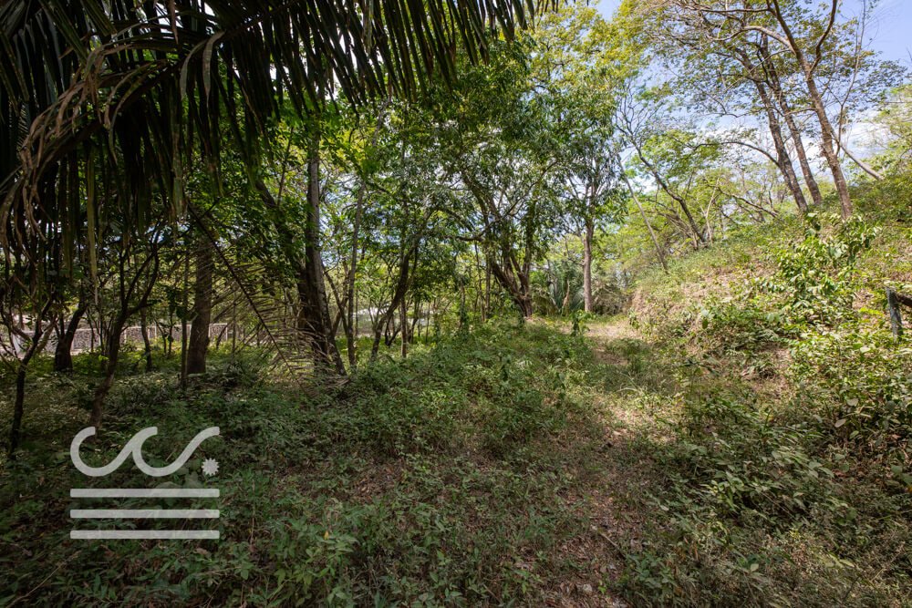 Playa Pelada Lot A Section-Sothebys-Wanderlust-Realty-Real-Estate-Rentals-Nosara-Costa-Rica-4.jpg