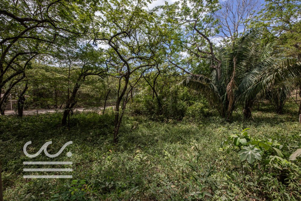 Playa Pelada Lot A Section-Sothebys-Wanderlust-Realty-Real-Estate-Rentals-Nosara-Costa-Rica-6.jpg