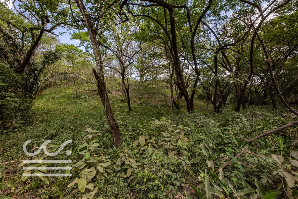 Playa Pelada Lot A Section-Sothebys-Wanderlust-Realty-Real-Estate-Rentals-Nosara-Costa-Rica-13.jpg