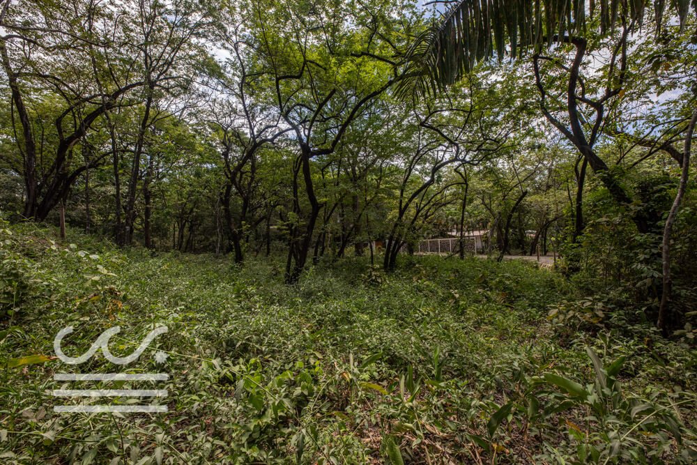 Playa Pelada Lot A Section-Sothebys-Wanderlust-Realty-Real-Estate-Rentals-Nosara-Costa-Rica-15.jpg