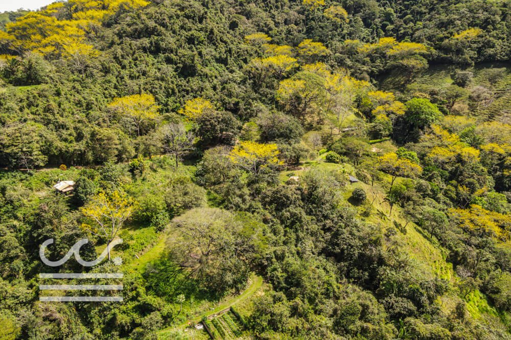 Retreat Center- Off the Grid-Sothebys-Wanderlust-Realty-Real-Estate-Rentals-Nosara-Costa-Rica-3.jpg