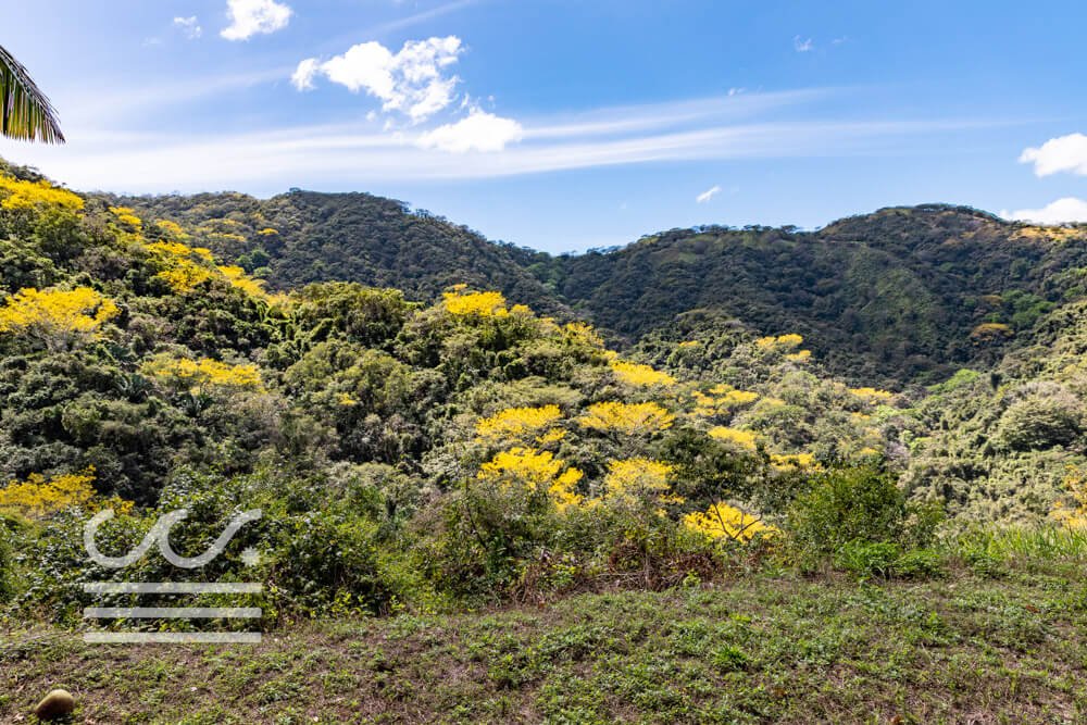 Retreat Center- Off the Grid-Sothebys-Wanderlust-Realty-Real-Estate-Rentals-Nosara-Costa-Rica-13.jpg