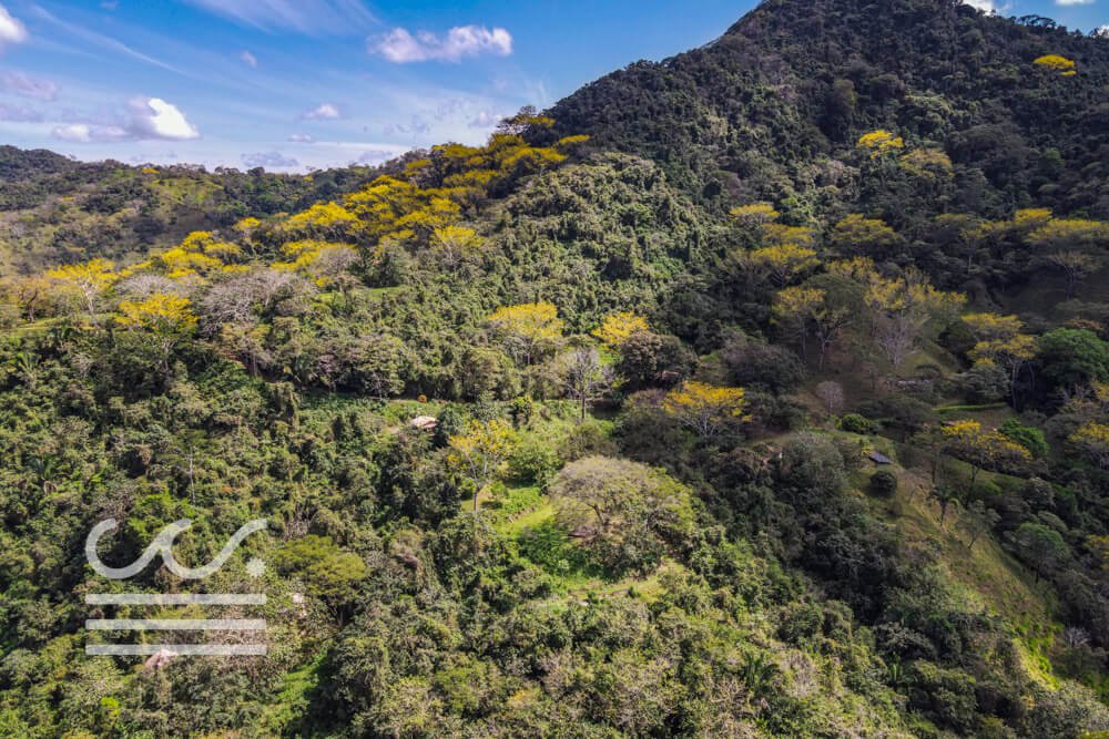 Retreat Center- Off the Grid-Sothebys-Wanderlust-Realty-Real-Estate-Rentals-Nosara-Costa-Rica-38.jpg