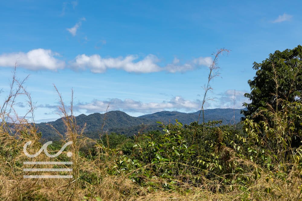 San Juanillo Estates Lot-Sothebys-Wanderlust-Realty-Real-Estate-Rentals-Nosara-Costa-Rica-13.jpg