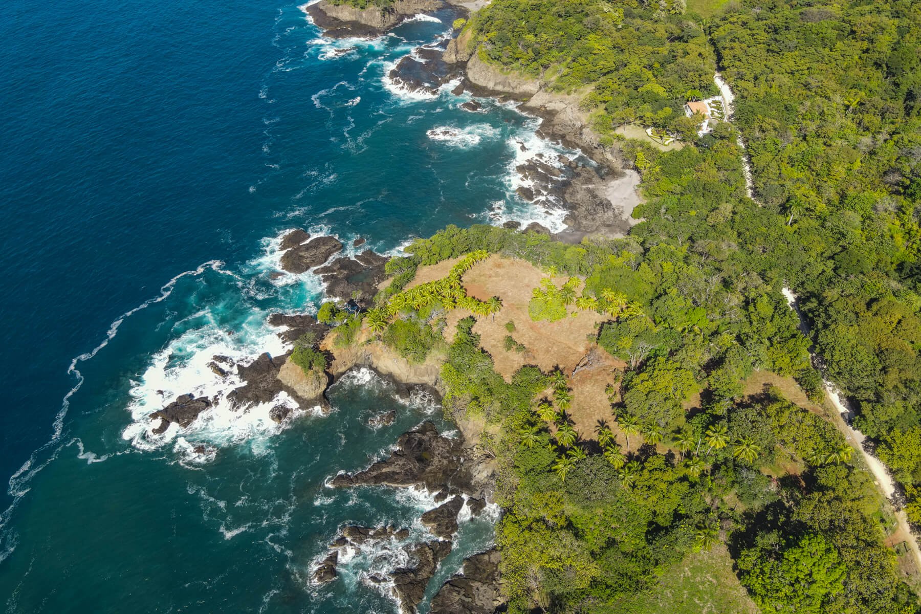 Playa-Roble-Beachfront-Sothebys-Wanderlust-Realty-Real-Estate-Rentals-Nosara-Costa-Rica-1.jpg