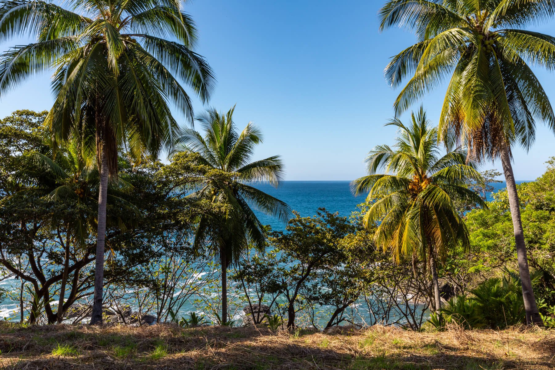 Playa-Roble-Beachfront-Sothebys-Wanderlust-Realty-Real-Estate-Rentals-Nosara-Costa-Rica-14.jpg